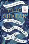 Cover of 10 Minutes 38 Seconds in This Strange World