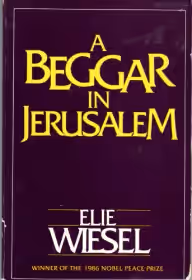 Cover of A Beggar in Jerusalem