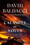 Cover of A Calamity of Souls
