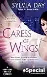 Cover of A Caress of Wings