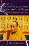 Cover of A Flash of Lightning in the Dark of Night