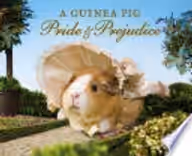 Cover of A Guinea Pig Pride & Prejudice