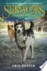 Cover of A Hidden Enemy