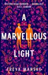 Cover of A Marvellous Light
