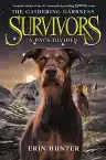 Cover of A Pack Divided