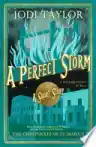 Cover of A Perfect Storm