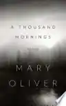 Cover of A Thousand Mornings