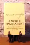 Cover of A World Split Apart