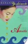Cover of Amrita