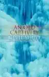 Cover of An Old Captivity