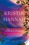 Cover of Angel Falls