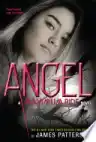Cover of Angel