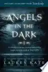 Cover of Angels in the Dark