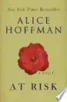 Cover of At Risk