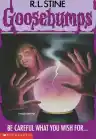 Cover of Be Careful What You Wish For...