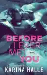 Cover of Before I Ever Met You