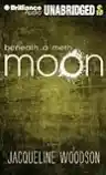 Cover of Beneath a Meth Moon: An Elegy