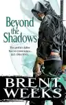 Cover of Beyond the Shadows