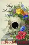 Cover of Big Dark Hole