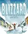 Cover of Blizzard
