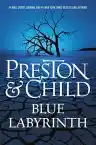 Cover of Blue Labyrinth