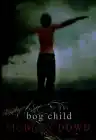 Cover of Bog Child
