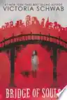 Cover of Bridge of Souls