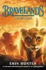 Cover of Broken Pride