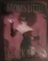 Cover of Brom's Little Black Book