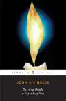 Cover of Burning Bright: A Play in Story Form