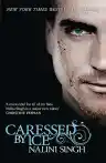 Cover of Caressed by Ice