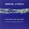 Cover of Catching the Big Fish: Meditation, Consciousness, and Creativity