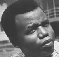 Chinua Achebe