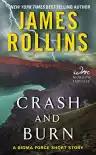 Cover of Crash and Burn