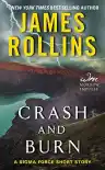 Cover of Crash and Burn