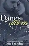 Cover of Dane's Storm