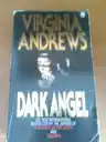 Cover of Dark Angel