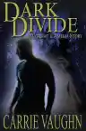 Cover of Dark Divide
