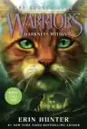 Cover of Darkness Within