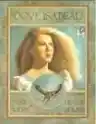 Cover of Dove Isabeau