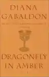 Cover of Dragonfly in Amber