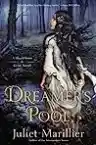 Cover of Dreamer's Pool