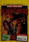 Cover of Dunc and the Flaming Ghost