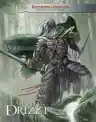 Cover of Dungeons & Dragons: The Legend of Drizzt: Neverwinter Tales