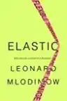Cover of Elastic: Flexible Thinking in a Time of Change