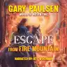 Cover of Escape from Fire Mountain