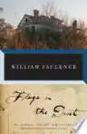 Cover of Flags in the Dust