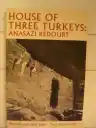 Cover of Furious Seasons and Other Stories