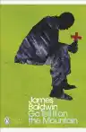 Cover of Go Tell It on the Mountain