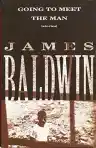 Cover of Going to Meet the Man